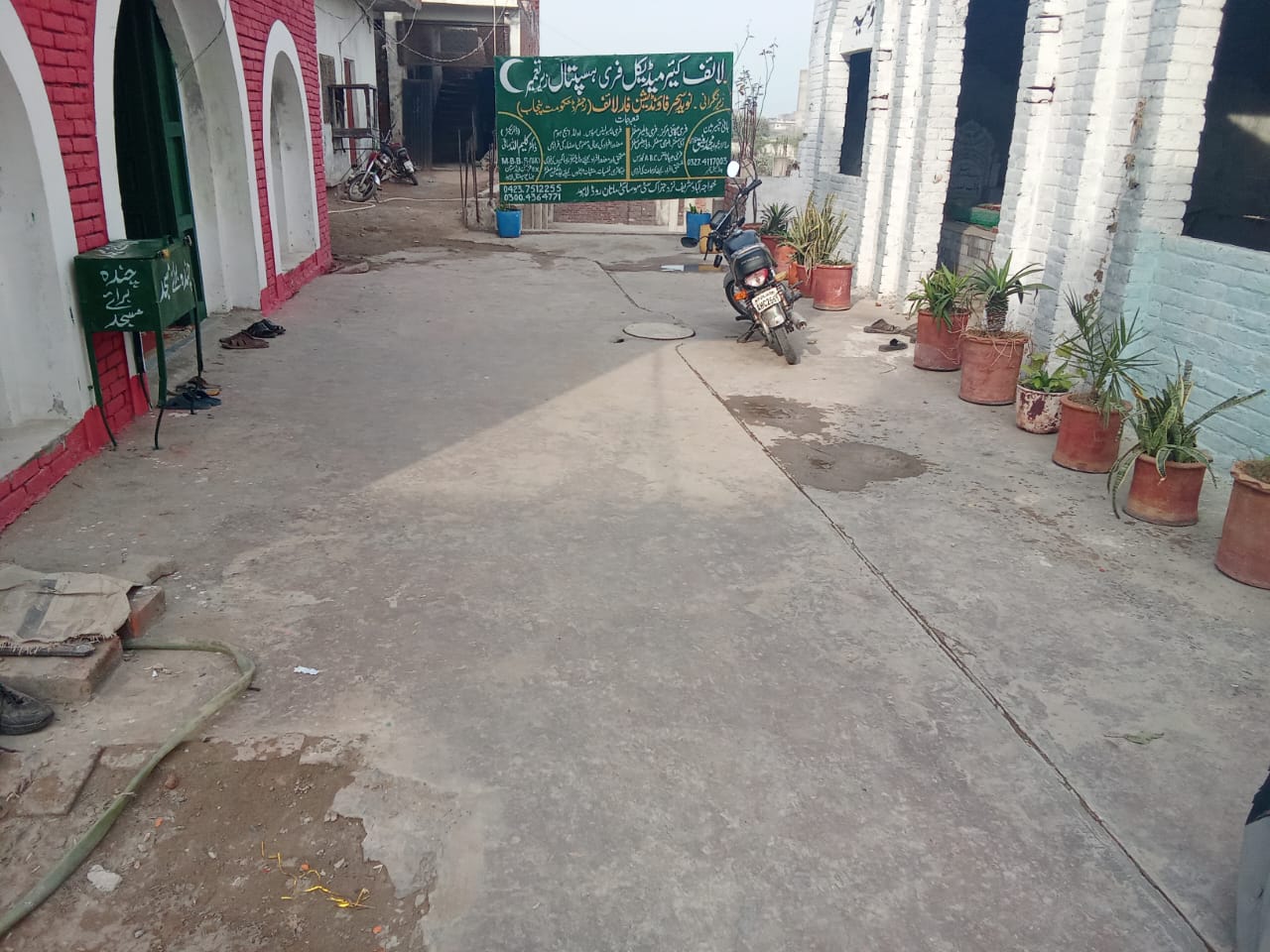 Foundation activity